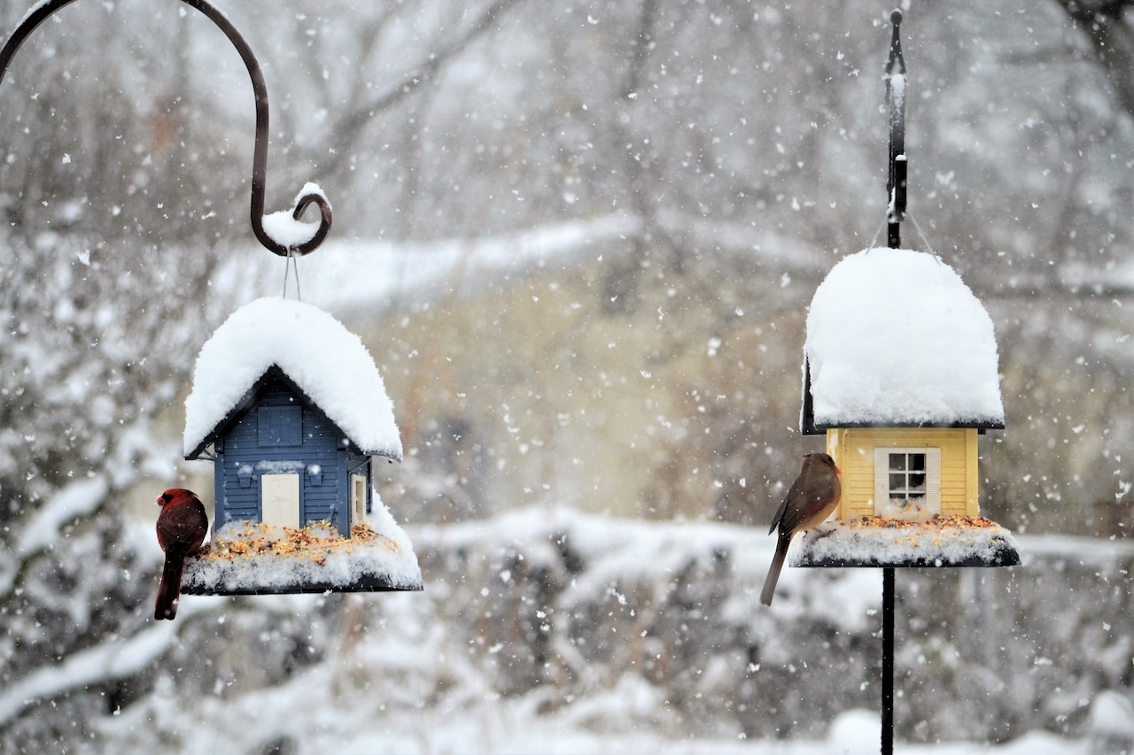 5 Ways to Update Your Backyard for Winter