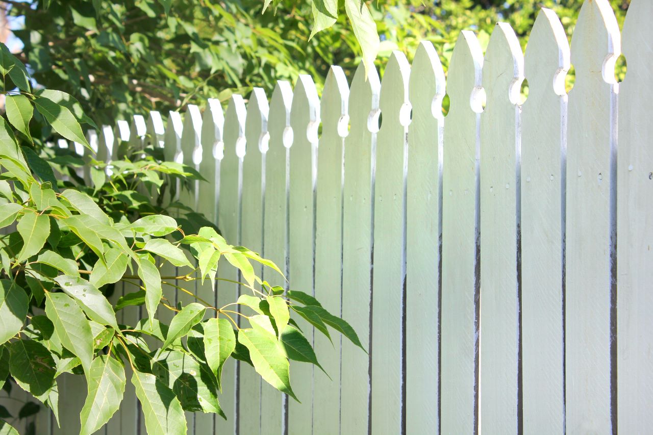 Do You Need Privacy Fencing?